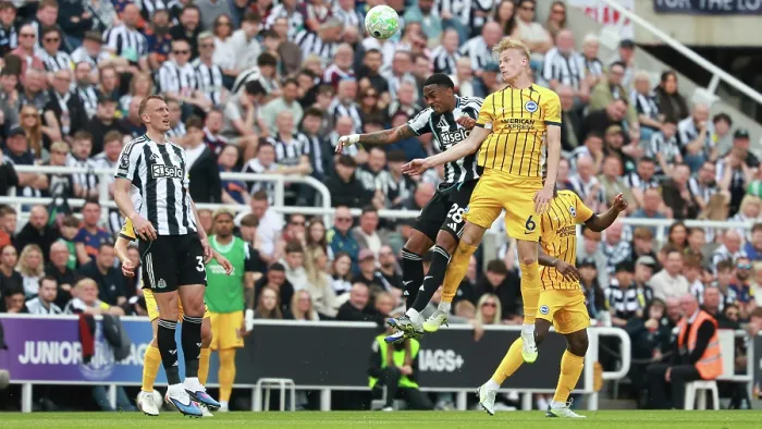 Framed Print : Newcastle United v Brighton and Hove Albion Premier League 02MAY26 Framed Print : Newcastle United v Brighton and Hove Albion Premier League 02MAY26