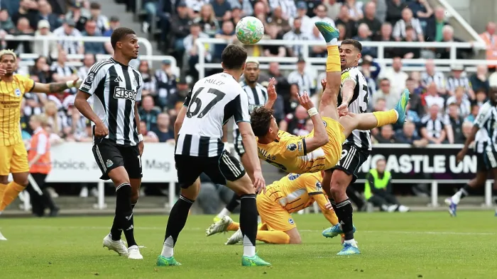 Framed Print : Newcastle United v Brighton and Hove Albion Premier League 02MAY26 Framed Print : Newcastle United v Brighton and Hove Albion Premier League 02MAY26