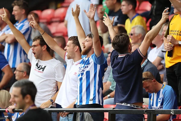 Passionate Battle: Watford vs. Brighton and Hove Albion Fans at Vicarage Road (11AUG18)