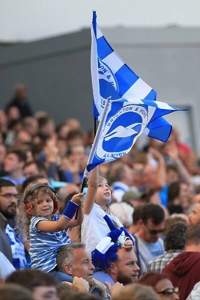 Passionate Brighton and Hove Albion Fans in the Stands during Sky Bet Championship Match vs Hull City, September 2015