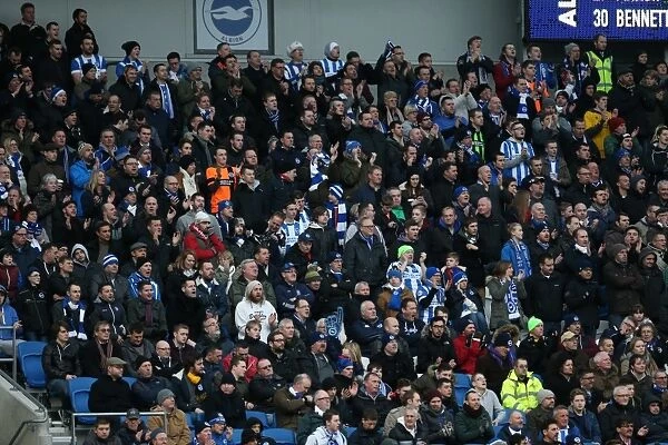 Passionate Clash: Brighton & Hove Albion vs. Brentford (17 January 2015)