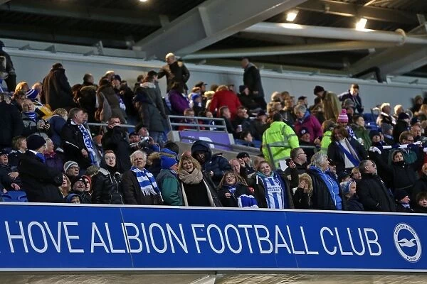Passionate Clash: Brighton & Hove Albion vs Leeds United (24FEB15)