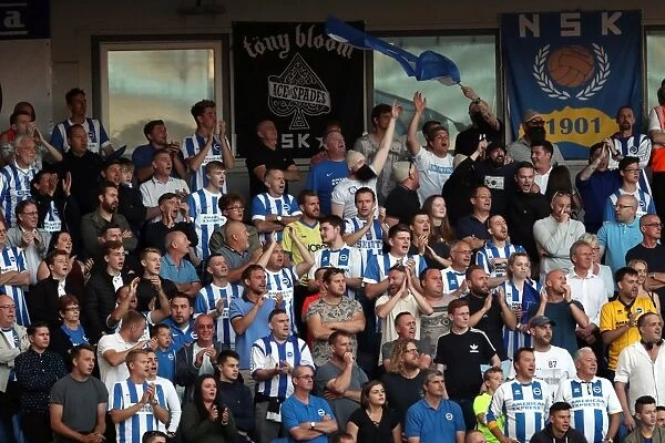 Passionate Fans at the American Express Community Stadium: Brighton and Hove Albion vs. Nottingham Forest (12th August 2016)