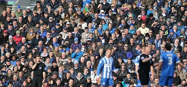 Passionate Moment: Brighton and Hove Albion Fans at the American Express Community Stadium vs. Wolverhampton Wanderers (14MAR15)