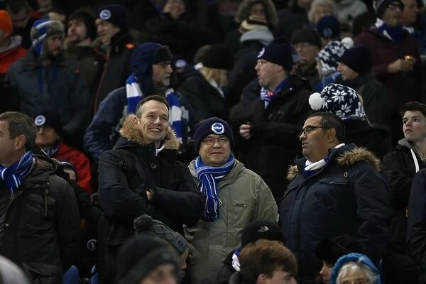 Passionate Showdown: Brighton & Hove Albion vs Ipswich Town at American Express Community Stadium (January 2015)