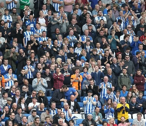 Passionate Showdown: Brighton & Hove Albion vs. Watford (25APR15)