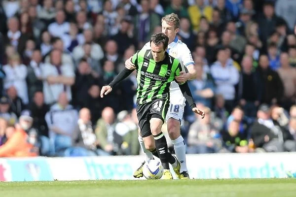 Pivotal Moment: Brighton & Hove Albion vs. Leeds United (Away) - 2012-13 Season