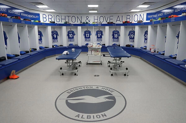 Premier League Showdown: Brighton & Hove Albion vs. Leicester City (31MAR18) - American Express Community Stadium