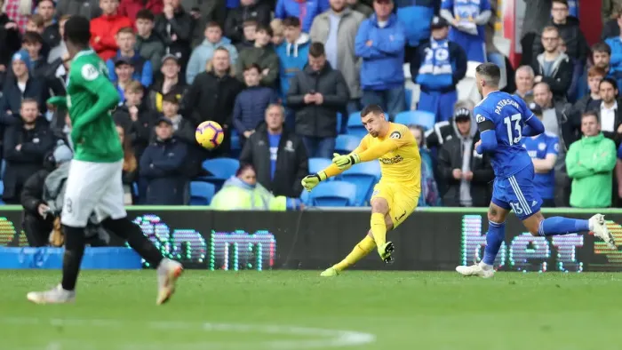 Framed Print : Premier League Showdown: Cardiff City vs. Brighton and Hove Albion (10NOV18)