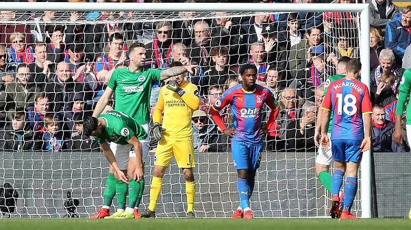 Premier League Showdown: Crystal Palace vs. Brighton and Hove Albion at Selhurst Park (9th March 2019)