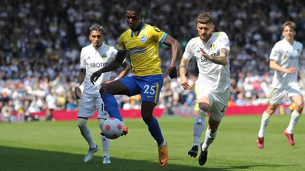 Premier League Showdown: Leeds United vs. Brighton and Hove Albion (15May22)