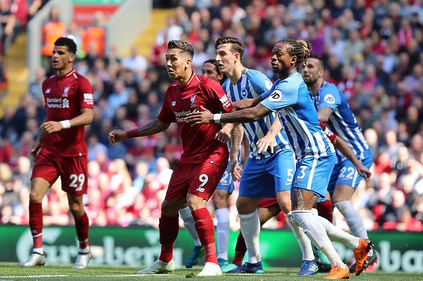 Premier League Showdown: Liverpool vs. Brighton and Hove Albion (13MAY18) - Anfield Clash