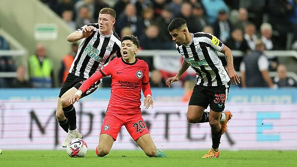 Premier League Showdown: Newcastle United vs. Brighton and Hove Albion (18MAY23) - Intense Match Action