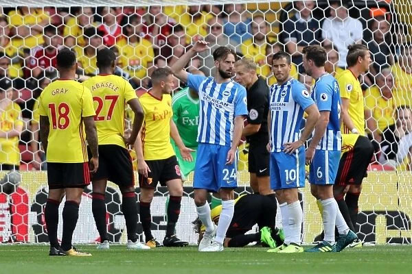 Premier League Showdown: Watford vs. Brighton and Hove Albion (26AUG17)