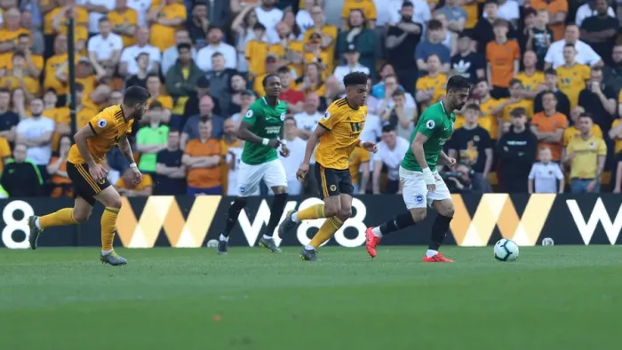 Framed Print : Premier League Showdown: Wolverhampton Wanderers vs. Brighton and Hove Albion at Molineux Stadium (20APR19) Framed Print : Premier League Showdown: Wolverhampton Wanderers vs. Brighton and Hove Albion at Molineux Stadium (20APR19)