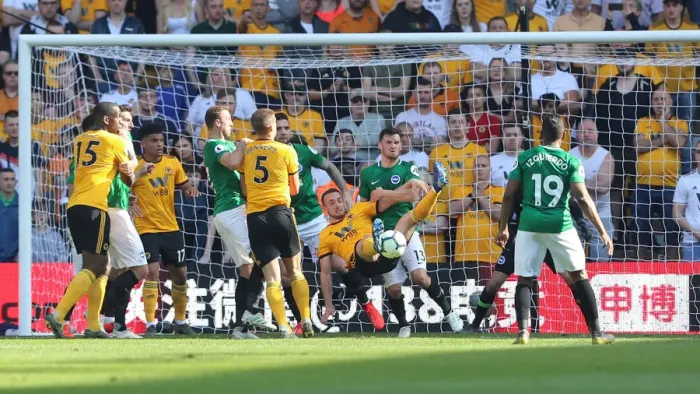 Framed Print : Premier League Showdown: Wolverhampton Wanderers vs. Brighton and Hove Albion at Molineux Stadium (20APR19) Framed Print : Premier League Showdown: Wolverhampton Wanderers vs. Brighton and Hove Albion at Molineux Stadium (20APR19)