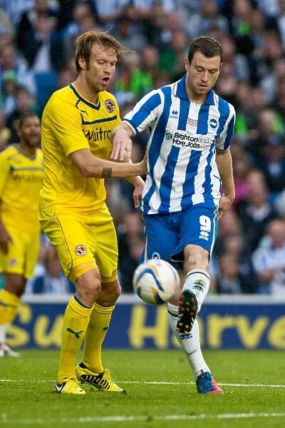 Reading. Brighton And Hove Albion Past Seasons