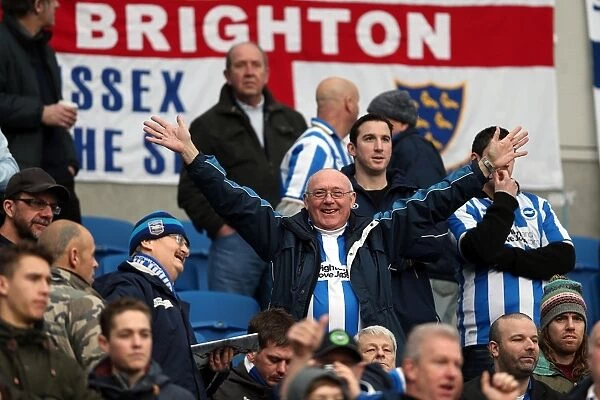 Reliving the Glory: Brighton & Hove Albion's Unforgettable 5-0 Victory over Newcastle United (5-1-2013)