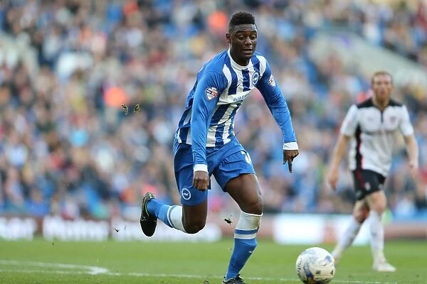 Rohan Ince in Action: Brighton and Hove Albion vs Rotherham United at American Express Community Stadium (October 25, 2014)