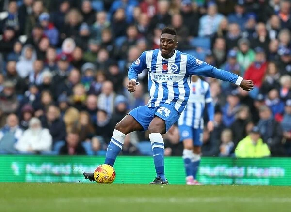 Rohan Ince in Action: Brighton & Hove Albion vs. Wigan Athletic, American Express Community Stadium, November 2014