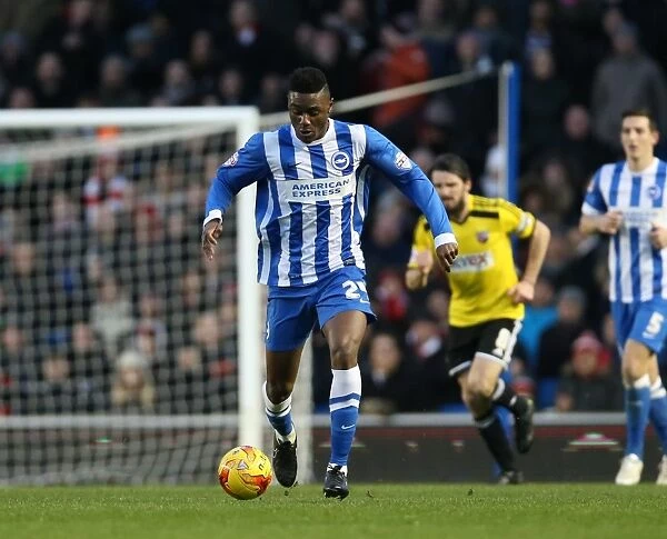 Rohan Ince in Action: Brighton & Hove Albion vs. Brentford (Sky Bet Championship, January 17, 2015)