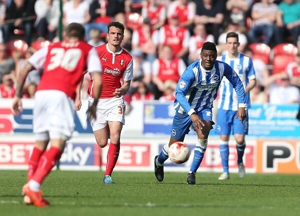 Rohan Ince in Action: Brighton Midfielder Battles in Sky Bet Championship Clash vs. Rotherham United (6th April 2015)