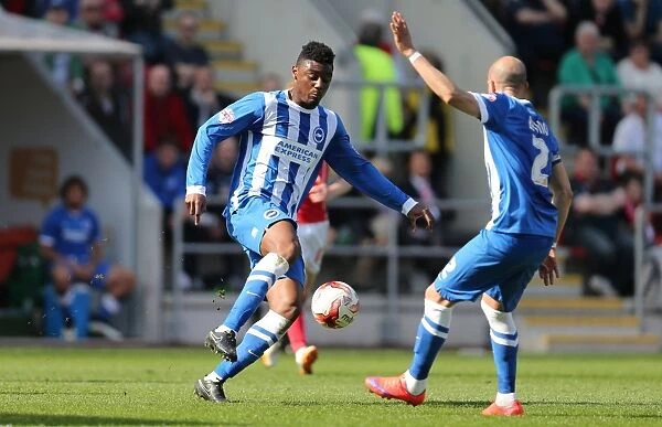 Rohan Ince in Action: Brighton Midfielder Battles in Sky Bet Championship Clash vs. Rotherham United (6th April 2015)
