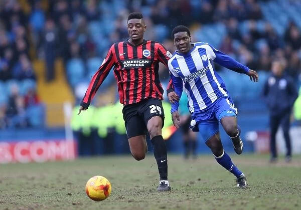 Rohan Ince in Action: Championship Showdown between Sheffield Wednesday and Brighton & Hove Albion (14FEB15)