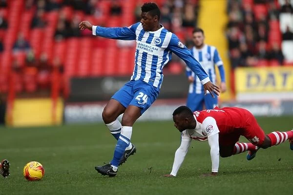 Rohan Ince in Action: Charlton Athletic vs Brighton & Hove Albion (10 January 2015)