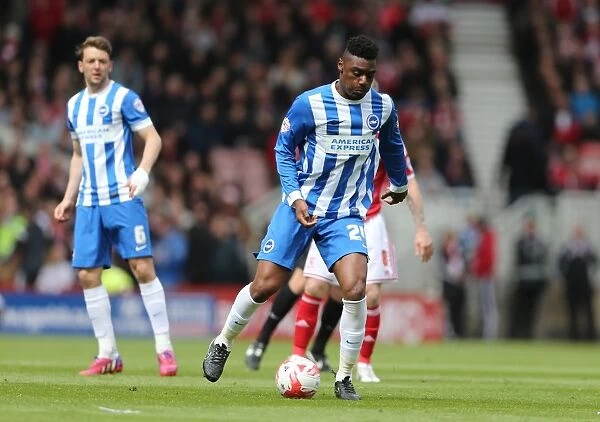 Rohan Ince in Action: Middlesbrough vs. Brighton & Hove Albion, May 2015 (Sky Bet Championship)