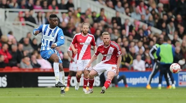 Rohan Ince in Action: Middlesbrough vs. Brighton & Hove Albion (02MAY15)