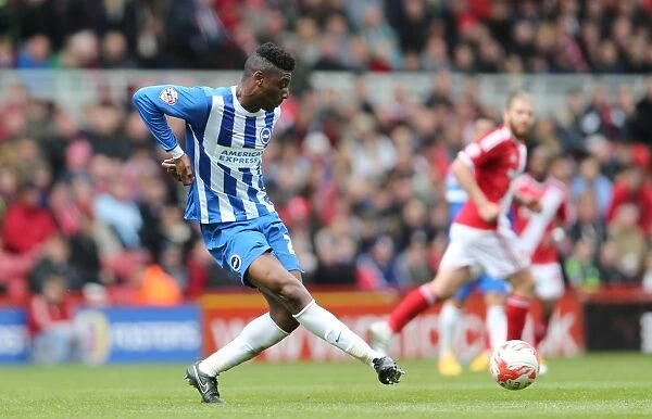 Rohan Ince in Action: Middlesbrough vs. Brighton & Hove Albion, May 2015