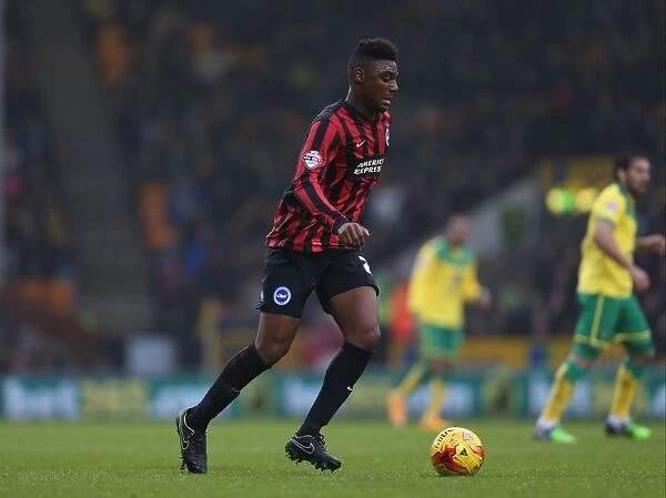 Rohan Ince in Action: Norwich City vs. Brighton & Hove Albion, 2014 - Sky Bet Championship Clash at Carrow Road