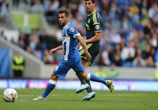 Sam Baldock in Action: Brighton and Hove Albion vs. Middlesbrough, October 18, 2014