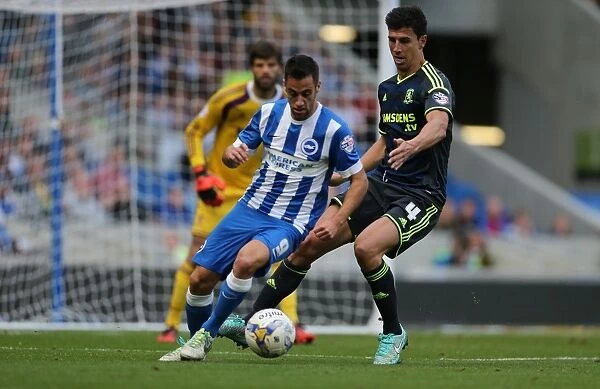 Sam Baldock in Action: Brighton and Hove Albion vs. Middlesbrough, October 2014