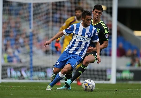 Sam Baldock in Action: Brighton and Hove Albion vs. Middlesbrough, 18th October 2014