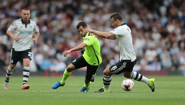 Sam Baldock in Action: Fulham vs. Brighton and Hove Albion, Sky Bet Championship 2015