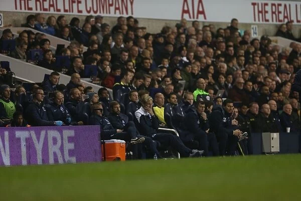 Sami Hyypia and Brighton Bench During Tottenham vs. Brighton Capital One Cup Match, 29th October 2014