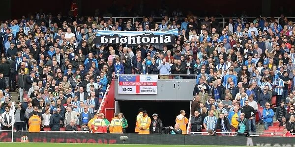 Sea of Seagulls: Brighton Fans at the Emirates (01OCT17)