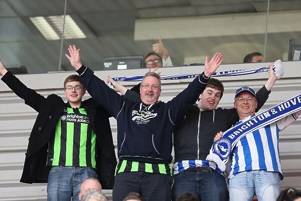 Sea of Seagulls: Brighton and Hove Albion Away Days 2012-13