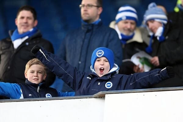 Sea of Supporters: Brighton and Hove Albion Away Games 2012-13