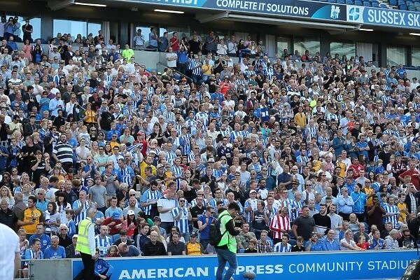 Sea of Supporters: Brighton and Hove Albion vs Atletico de Madrid at the American Express Community Stadium (August 2017)