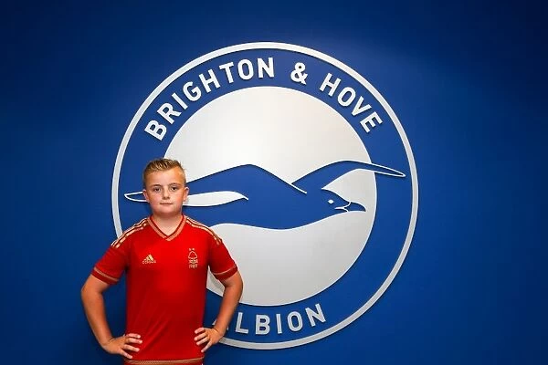 The Seagulls in Action: Brighton and Hove Albion FC