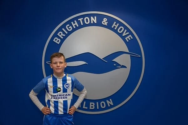 The Seagulls in Action: Brighton and Hove Albion FC