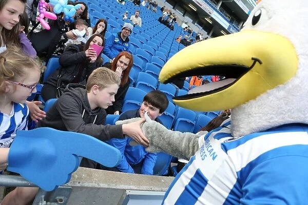 Seagulls Priority Open Training Day at Amex Community Stadium, 8th April 2015