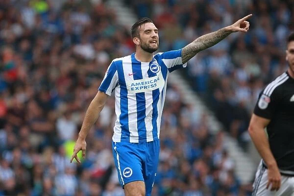 Shane Duffy: In Action for Brighton & Hove Albion vs. Nottingham Forest, EFL Sky Bet Championship (10SEP16)