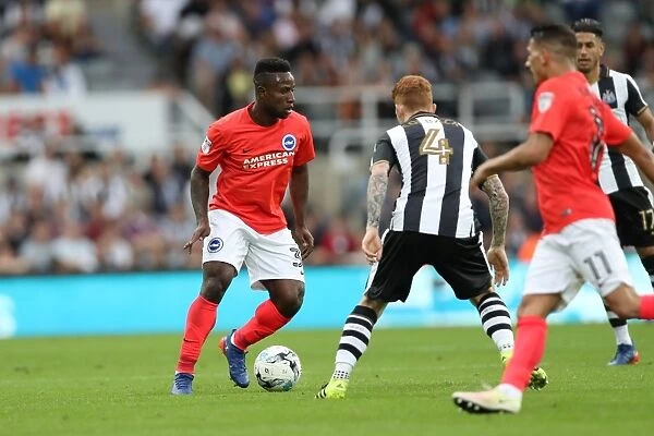 Sky Bet Championship Clash: Newcastle United vs. Brighton and Hove Albion at St. James Park (27-08-2016)