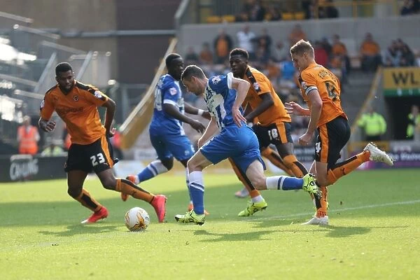 Sky Bet Championship Showdown: Wolverhampton Wanderers vs. Brighton and Hove Albion at Molineux Stadium (August 2015)
