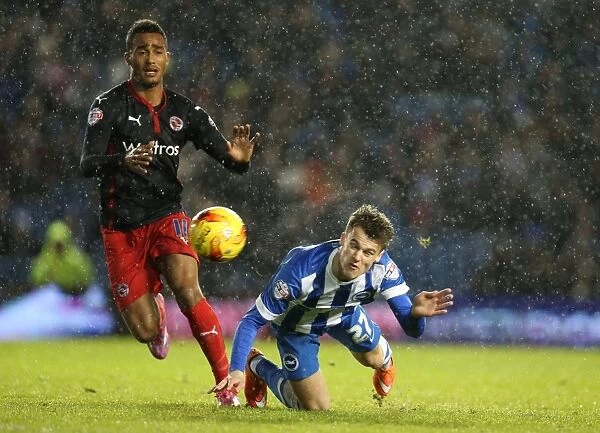 Solly March in Action: Brighton and Hove Albion vs. Reading, December 2014