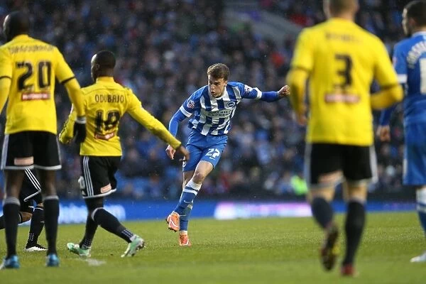 Solly March: In Action for Brighton & Hove Albion vs. Brentford, January 2015
